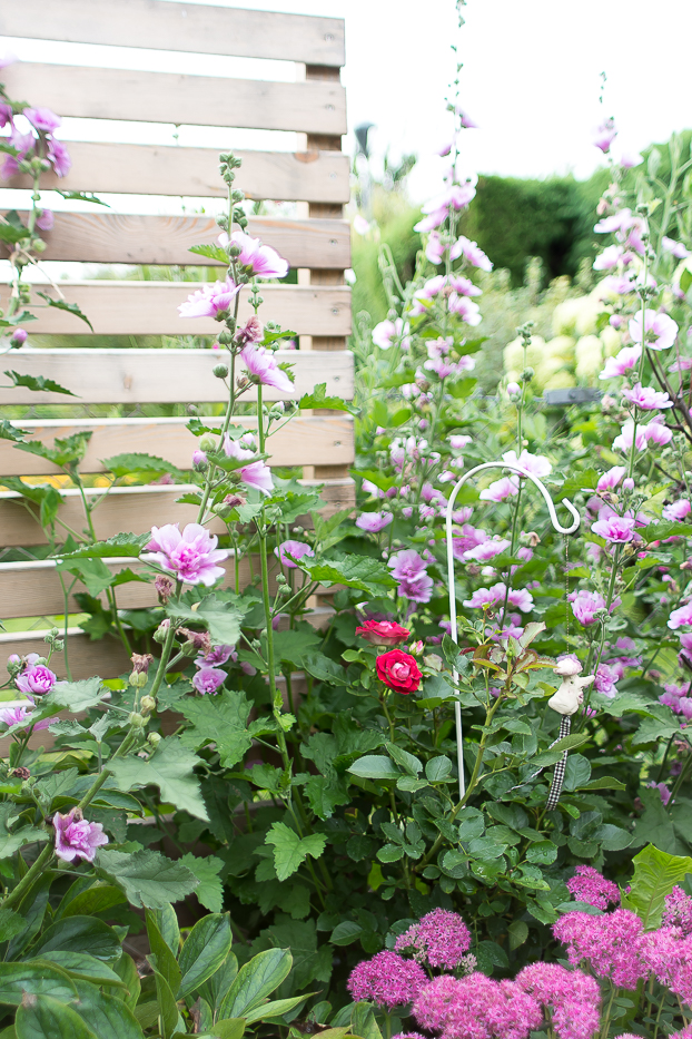 Meine Garten Bepflanzung | Villa Josefina