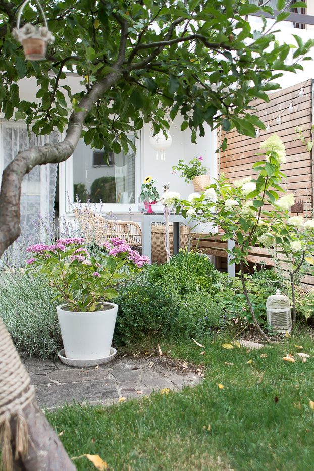 Meine Garten Bepflanzung | Villa Josefina